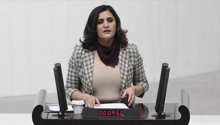 Gara’ya giden HDP’li vekil Dirayet Dilan Taşdemir’e terör soruşturması