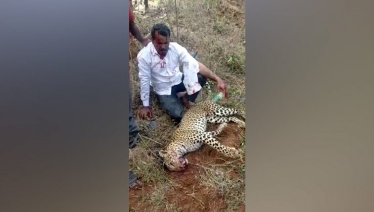 Hindistan’da bir baba, kızı için leoparı elleriyle öldürdü