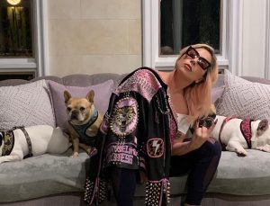 Lady Gaga kaçırılan köpeklerini getirene 500 bin dolar ödül verecek