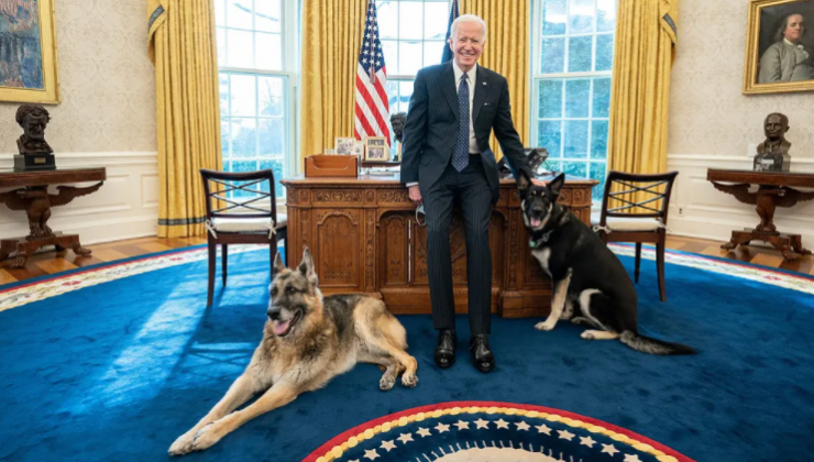 Biden’ın köpeği Major, Beyaz Saray’ı birbirine kattı