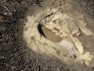 Manisa’da 5 bin yıllık ayak izi