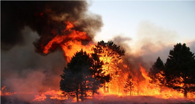 Güney Dakota’da 3 noktada çıkan yangın nedeniyle yüzlerce ev boşaltıldı