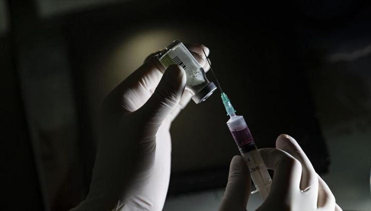 Danimarka’dan, Almanya’ya 55 bin doz aşı desteği