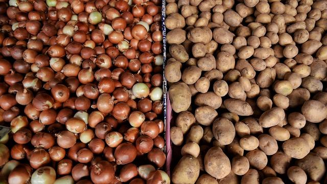 Üreticiden alınan patates ve soğanlar, 164 bin aileye ulaştırılacak