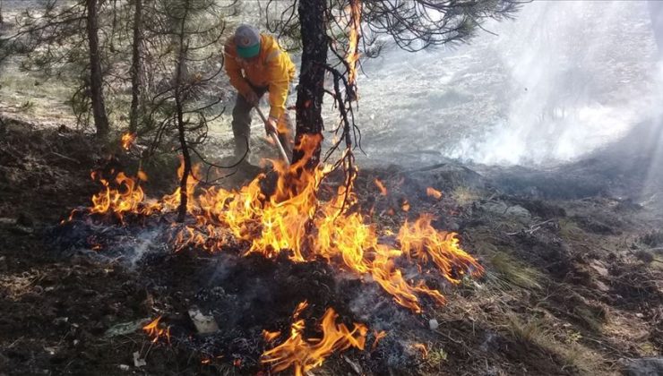 Muğla’da orman yangını çıktı