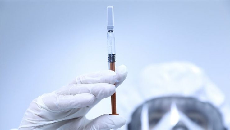 Yerli VLP aşısı sonbaharda kullanıma sunulacak