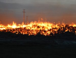Afyonkarahisar’daki enerji santralinde yangın