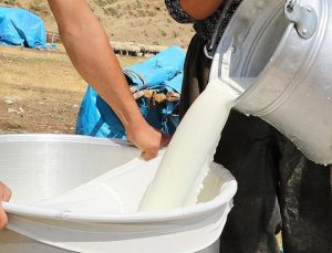 Bakanlık’tan süt fiyatları ile ilgili önemli karar