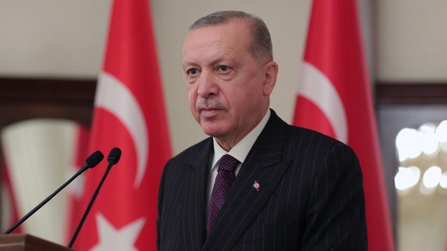Cumhurbaşkanı Erdoğan Nijerya Cumhurbaşkanı ile görüştü