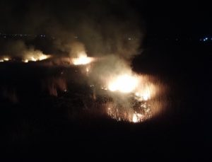 Erzincan’da koruma altındaki Ekşisu Sazlık Alanı’nda yangın