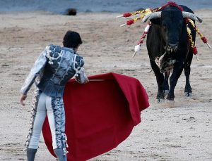 İspanya’da salgının başından bu yana ilk “boğa güreşi” yapıldı