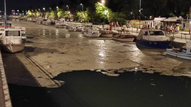 Kurbağalıdere de “deniz salyası” ile kaplandı