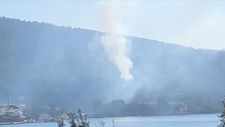 Muğla’nın Bodrum ilçesinde orman yangını çıktı