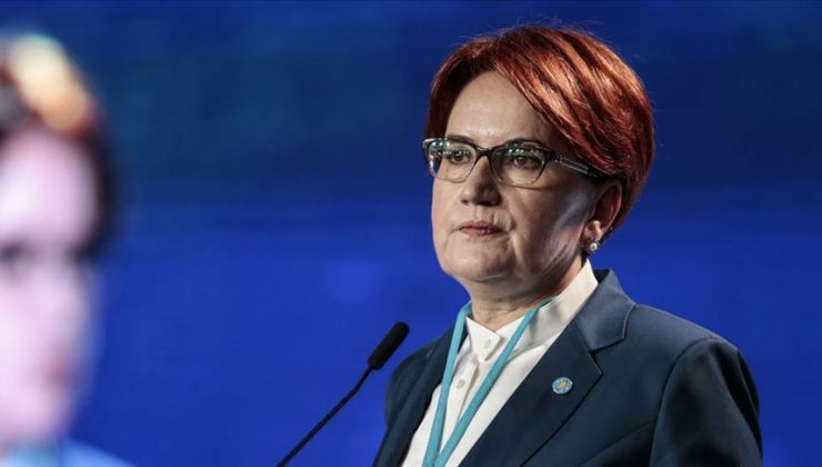 Almanya’daki CHP’lilerden Meral Akşener’e ‘Eli kanlı katil asena’ benzetmesi