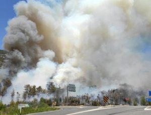 Antalya’da orman yangını! Karayolu ulaşıma kapatıldı