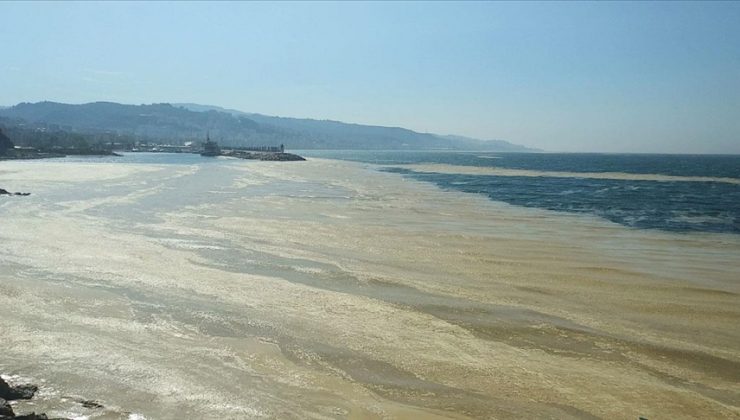 Deniz Salyası, Bursa ve Çanakkale sahillerine de yayıldı