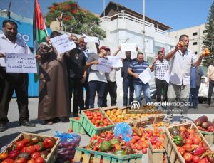 Gazzeli çiftçilerden ‘Sapsız’ domates protestosu