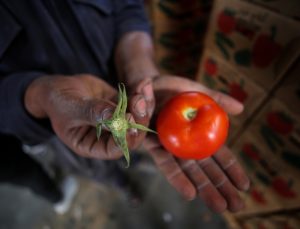 İsrail’den Gazzeli çiftçi ve tüccarlara yeni şart