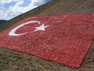 Jandarma, şehitler için 138 ton taşla Türk bayrağı yaptı
