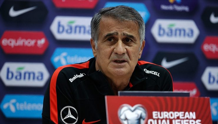 Şenol Güneş: Rakip bizden daha üstündü