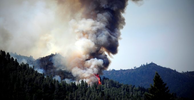 Kaliforniya’da orman yangını