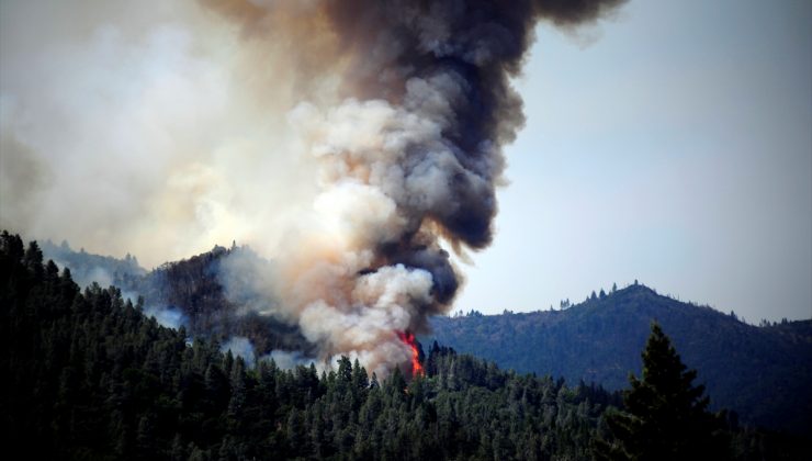 Kaliforniya’da orman yangını
