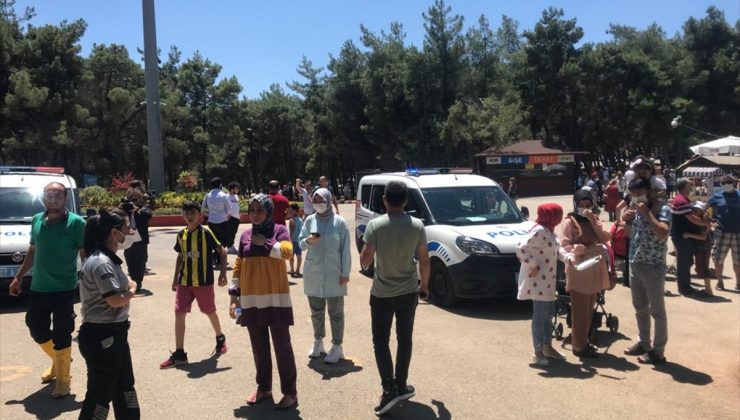 Gaziantep’te kafesinden kaçan aslan 3 kişiyi yaraladı