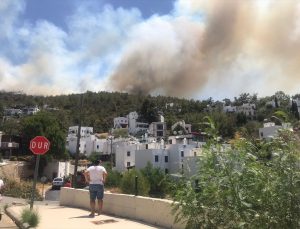 Bodrum’da yeni bir orman yangını daha!