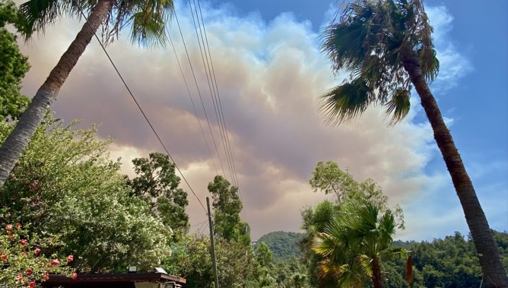 Marmaris’teki orman yangınıyla ilgili soruşturma başlatıldı