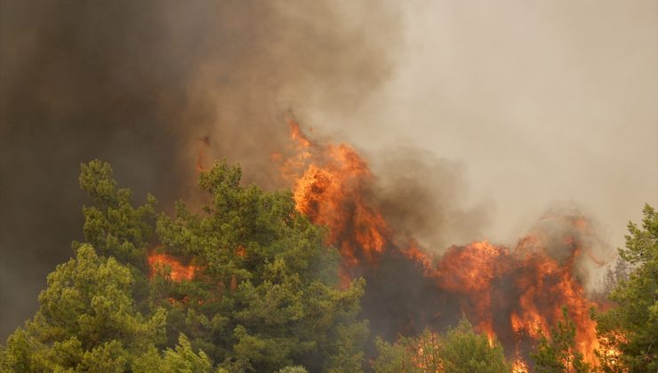 Azerbaycan Türkiye’ye 53 itfaiye aracı gönderdi