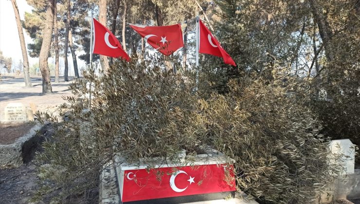 Orman yangınında şehit kabri ve Türk bayrağı zarar görmedi