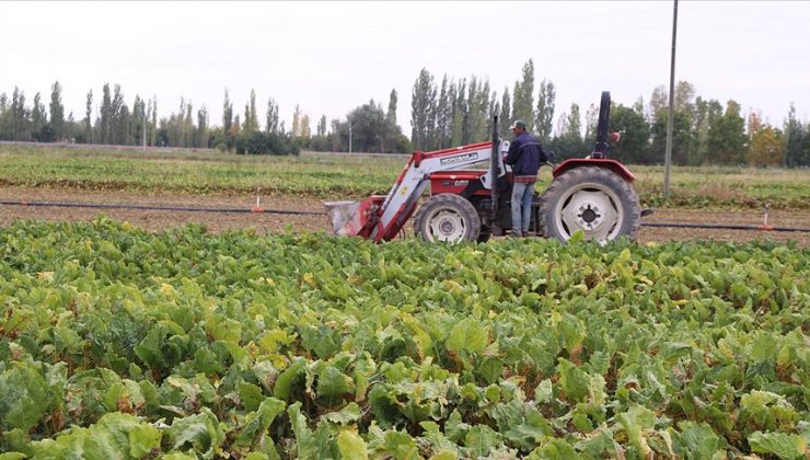 Tarımda kimyasal gübre kullanımı azaltılacak