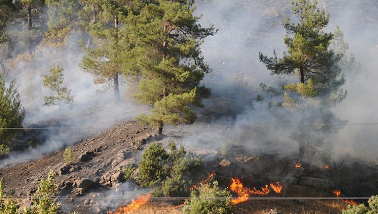 Kahramanmaraş’taki orman yangınına müdahale sürüyor