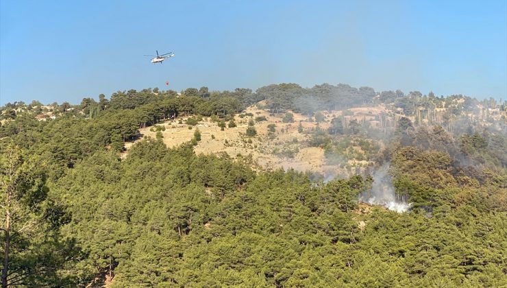 Antalya’nın Kaş ilçesinde orman yangını çıktı