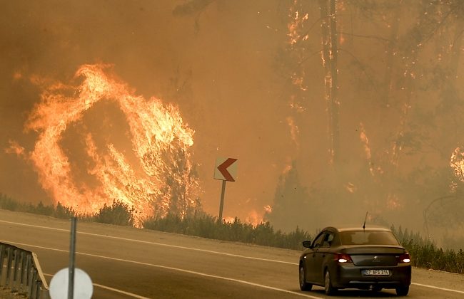 4 ilde orman yangınlarıyla mücadele sürüyor