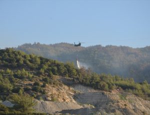 Aydın’ın Çine ilçesinde yeniden orman yangını çıktı