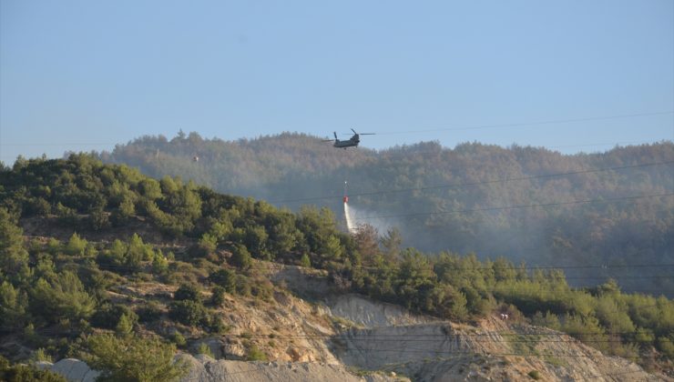 Aydın’ın Çine ilçesinde yeniden orman yangını çıktı