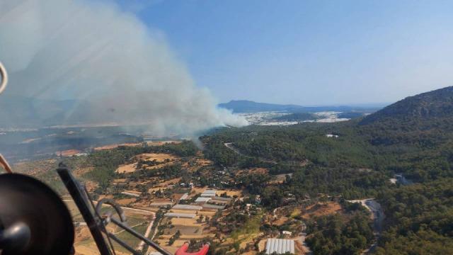 Aydın’da ve Muğla’da orman yangınları: Müdahale sürüyor