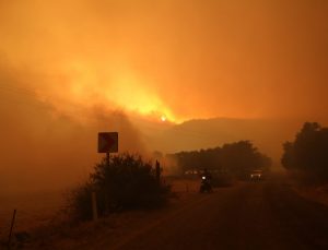 Aydın ve Muğla’da devam eden yangınlara müdahale sürüyor