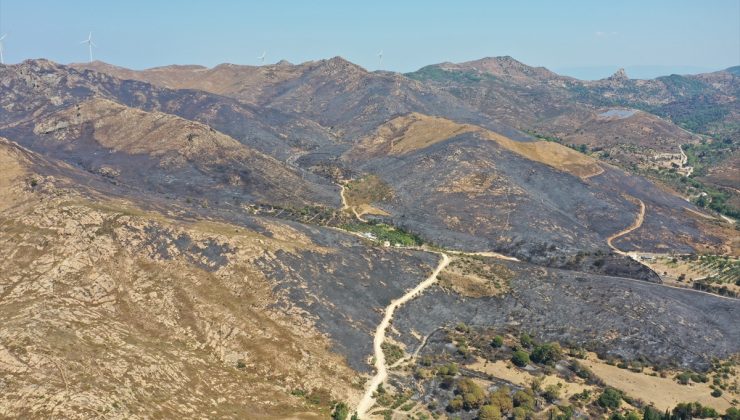 Bodrum`daki makilik ve otluk yangını söndürüldü