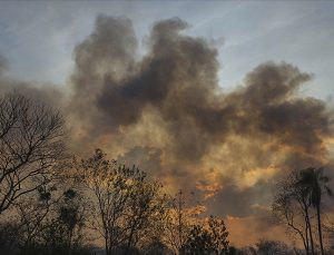 Brezilya Amazonlarında yangınlar ağustosta beş kattan fazla arttı