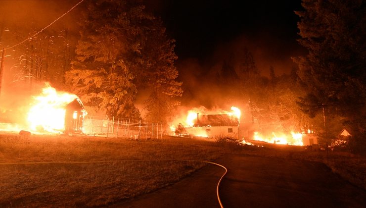 California’daki yangında yok olan ormanlık alan 210 bin hektara yaklaştı