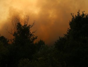 Esed rejimi, Türkmen Dağı’nda orman yangını çıkardı