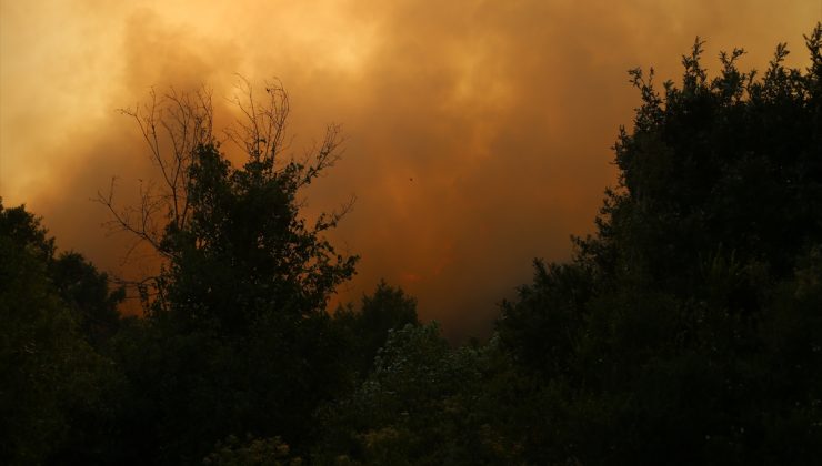 Esed rejimi, Türkmen Dağı’nda orman yangını çıkardı