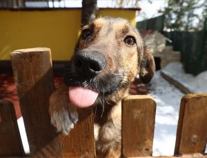 HAYTAP, ikinci sahra hastanesini Marmaris’te kuracak