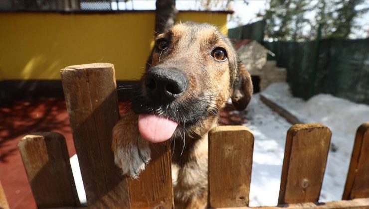 HAYTAP, ikinci sahra hastanesini Marmaris’te kuracak