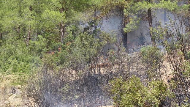 Isparta’da ormanlık alanlara girişler 16 Ağustos’a kadar yasak