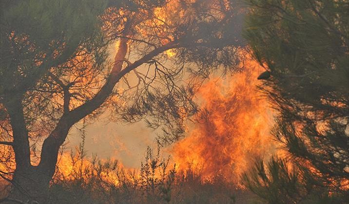 Kanada’da orman yangınları sürüyor