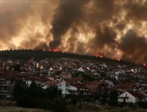 Kuzey Makedonya’da orman yangını