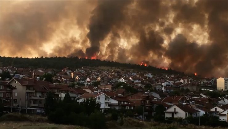 Kuzey Makedonya’da orman yangını